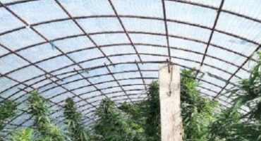 uhićenje, veća količina opojnih droga