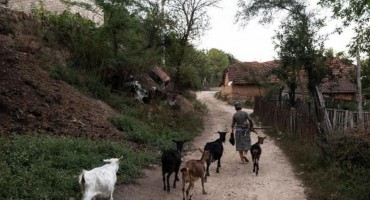 Susjedi bi se mogli jako obogatiti, ispod njih je zakopano pravo bogatstvo