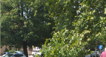 Mostar, lipa, slomljena