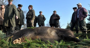 sin, italija, upucao oca