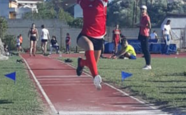 hak zrinjski