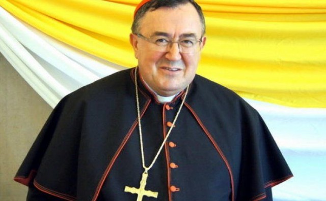 Kardinal Vinko Puljić, Slavonija, Kardinal Vinko Puljić, Hrvati, BIH, Kardinal Vinko Puljić, katolička crkva