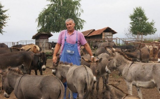 ​Poljoprivrednik iz BiH uzgojio stado od 80 magaraca