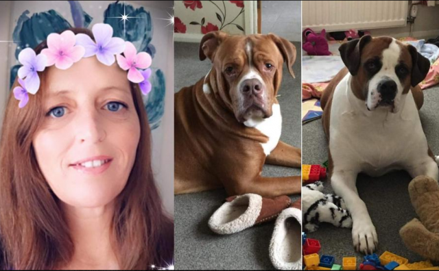 Majku troje djece u svom domu ubili njeni psi: 'Rastrgali su je!' 