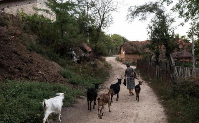 Srbija, fosilna goriva