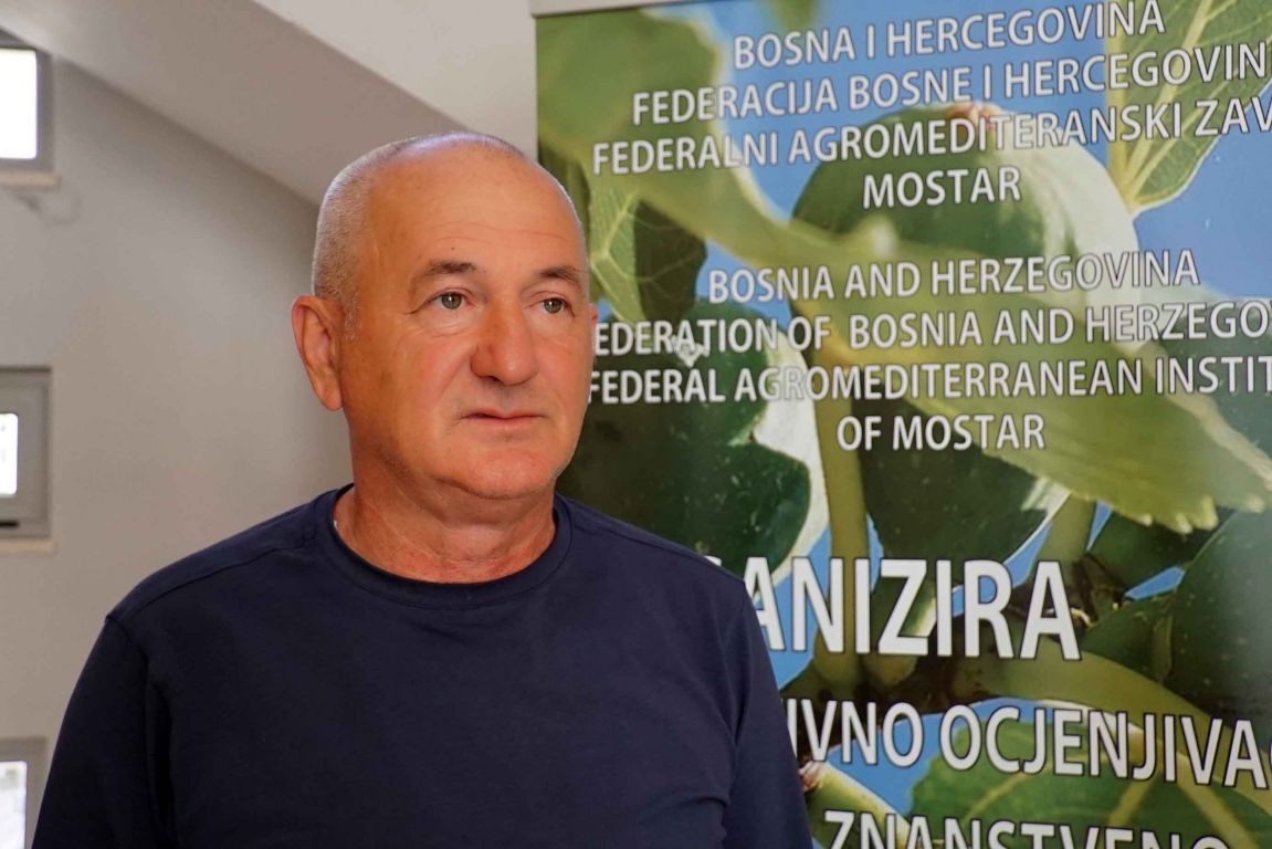 Hercegovina,Marko Ivanković,Federalni agromediteranski zavod,smokva