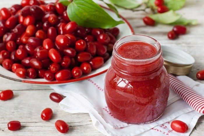 Drenjina - ljekovita biljka od kore do ploda