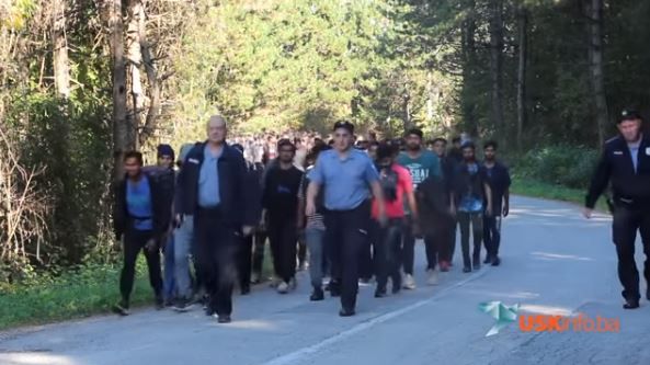 Procurila snimka! Policija provodi tisuću migranata na Vučjak