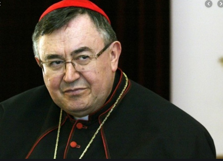 KARDINAL za Hercegovina.info: Brojni razlozi iseljavanja, a jedan je - teško do posla ako niste u stranci