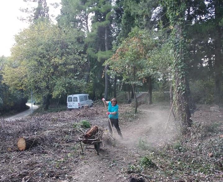 Akcija čišćenja u subotu na Trimuši