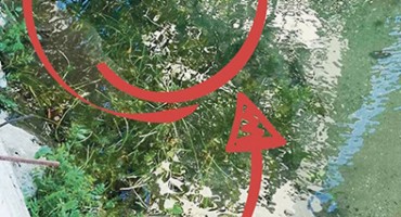 ubojstvo, mjesto zločina