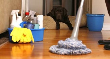 kućanski poslovi, ljubav, čišćenje