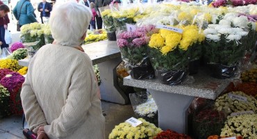 Otkrijte zašto se baš krizanteme nose na grobove voljenih