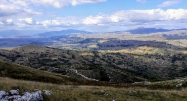 šumarija, Livno, radnici