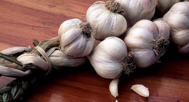 Konzumiranje luka smanjuje rizik od raka