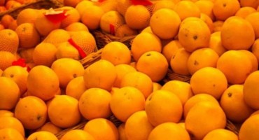 Proizvođači mandarina u novim problemima