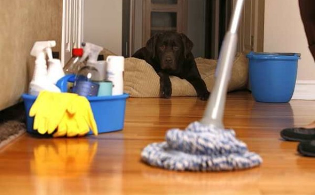 Kućanski poslovi su najčešći uzrok svađa među parovima, ovaj najčešće