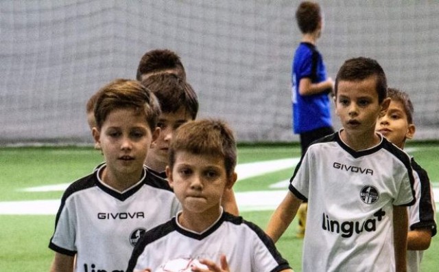 DFA liga, DFA liga