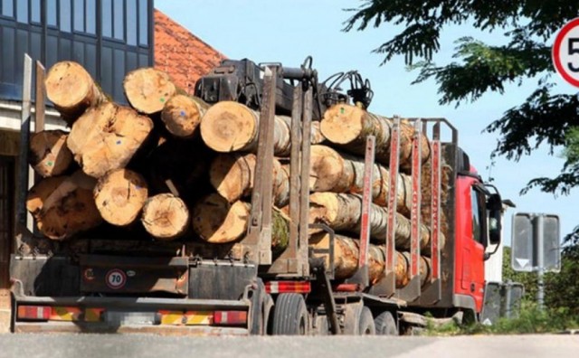 Nelegalno prevozili drva, pa htjeli podmititi policajce