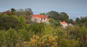 Velimir Velo Raspudić , Hercegovina