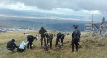 Kupres, učenici, smreka