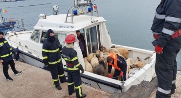 Brod s 14.000 ovaca se prevrnuo, spasilačka akcija u tijeku