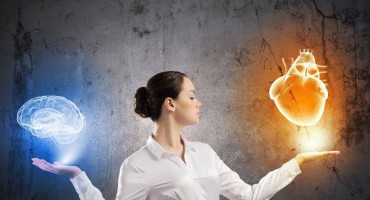 istraživanje, bisnode