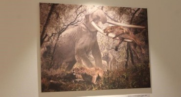 Tomislavgrad, vodiči