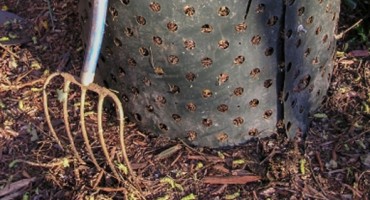 Srbija, Zločin, popio otrov, napad