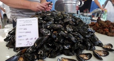 Otkrili zarazni karcinom, čovjek ga je proširio svijetom