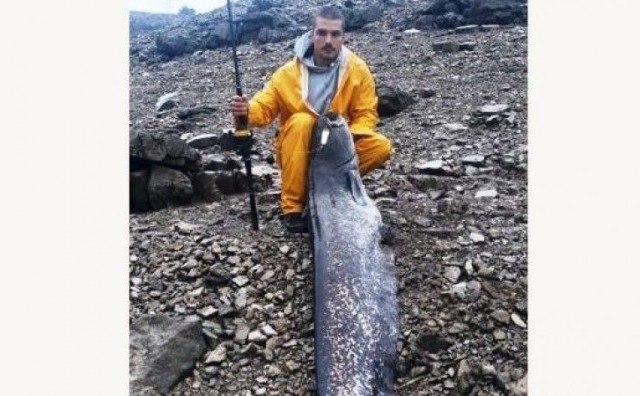 Ribolovac u Hercegovini ulovio soma dugog dva metra i teškog 52 kg