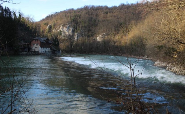 crna kronika, migranti