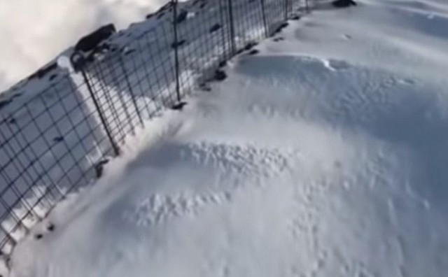 VIDEO/ Uznemirujući snimak: Planinar snimio vlastitu smrt