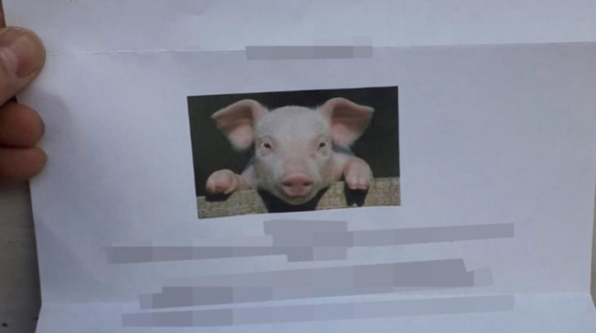Džamiji poslali pismo s uvredljivim porukama i fotografijom svinje