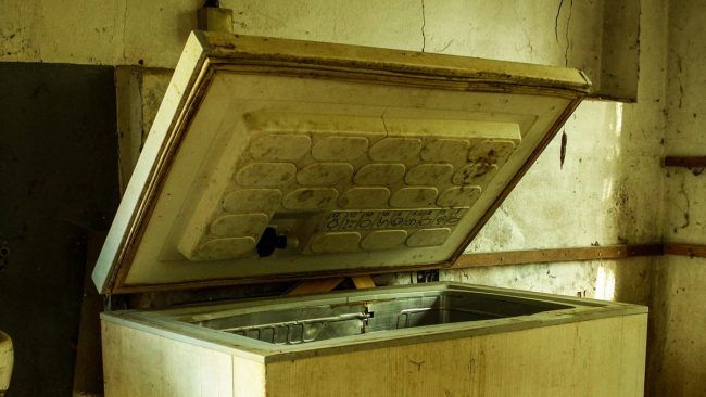 Tijelo supruga čuvala u škrinji 10 godina: Koristila mirovinu