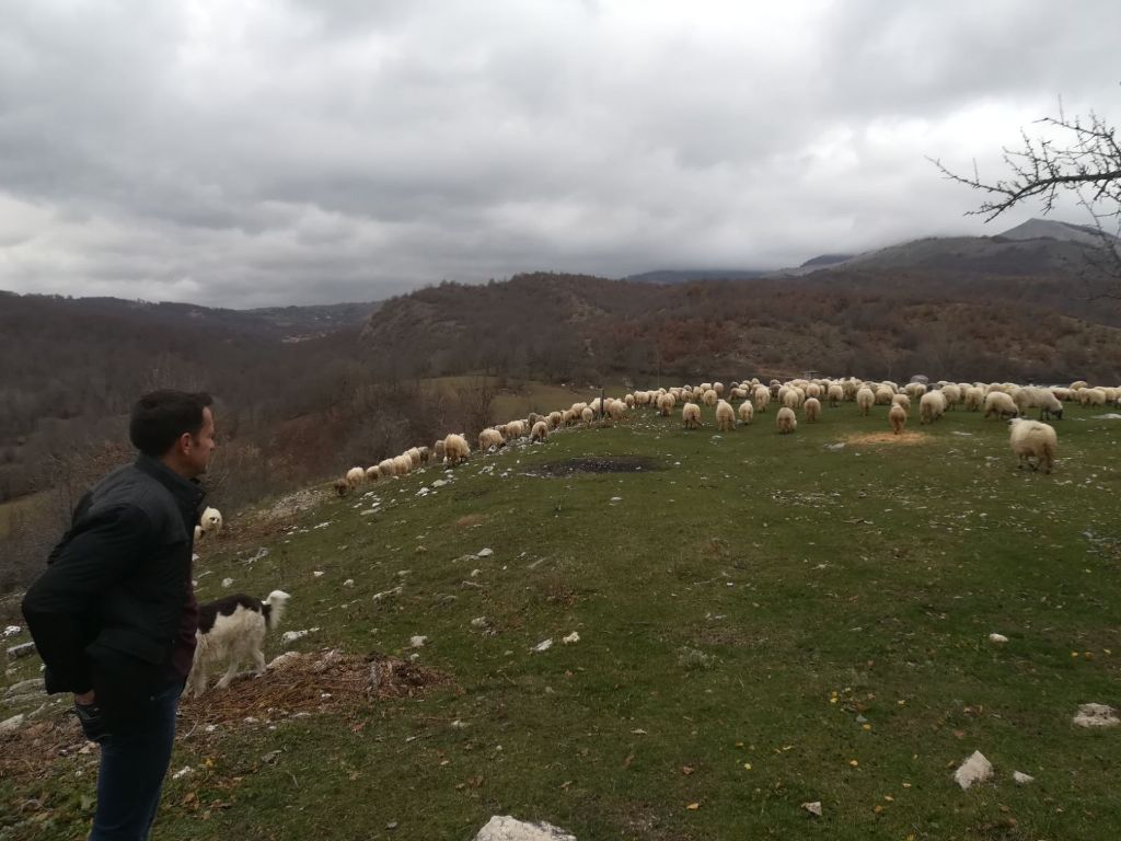 Profesor pedagogije odlučio zamijeniti gradski život, sada se bavi stočarstvom