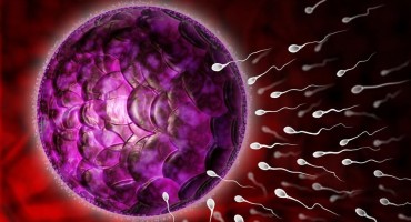 Presadili mu koštanu srž pa u spermi sad ima donorovu DNK  