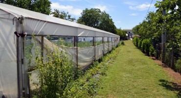 poticaji, poljoprivreda