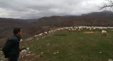 Profesor pedagogije odlučio zamijeniti gradski život, sada se bavi stočarstvom