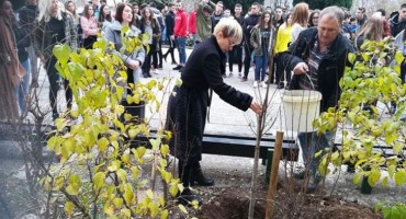 MOSTAR Neobično stablo za Lanu Bijedić