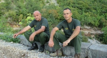 U čapljinsko lovište nakon divljih svinja stigli vukovi, čagljevi i mungosi