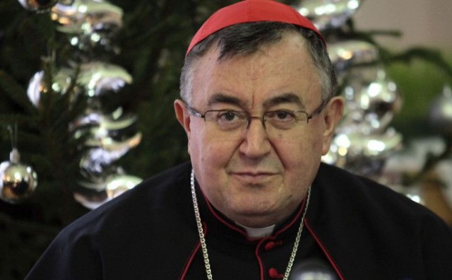 Kardinal Puljić: 'Ljute se domaći zašto se Hrvatska najedanput zainteresirala za naš opstanak'
