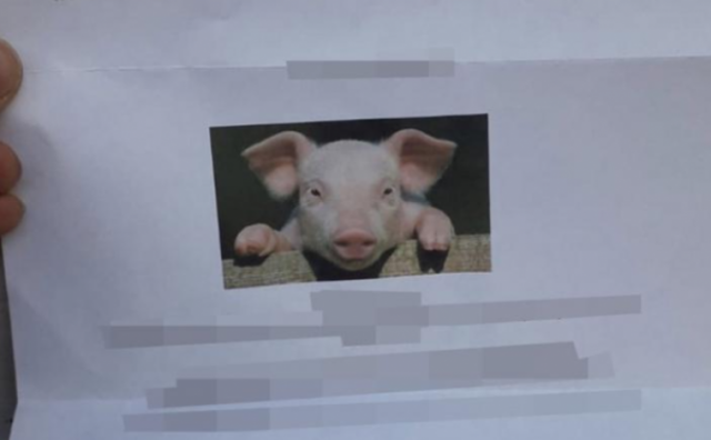 Džamiji poslali pismo s uvredljivim porukama i fotografijom svinje