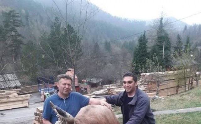 Najvrijedniji bik u BiH, vlasnik kaže da ga ne bi prodao ni za 50 tisuća eura