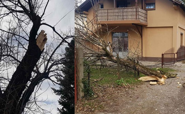 BANJA LUKA Vjetar oštetio krov na školi i rušio stabla