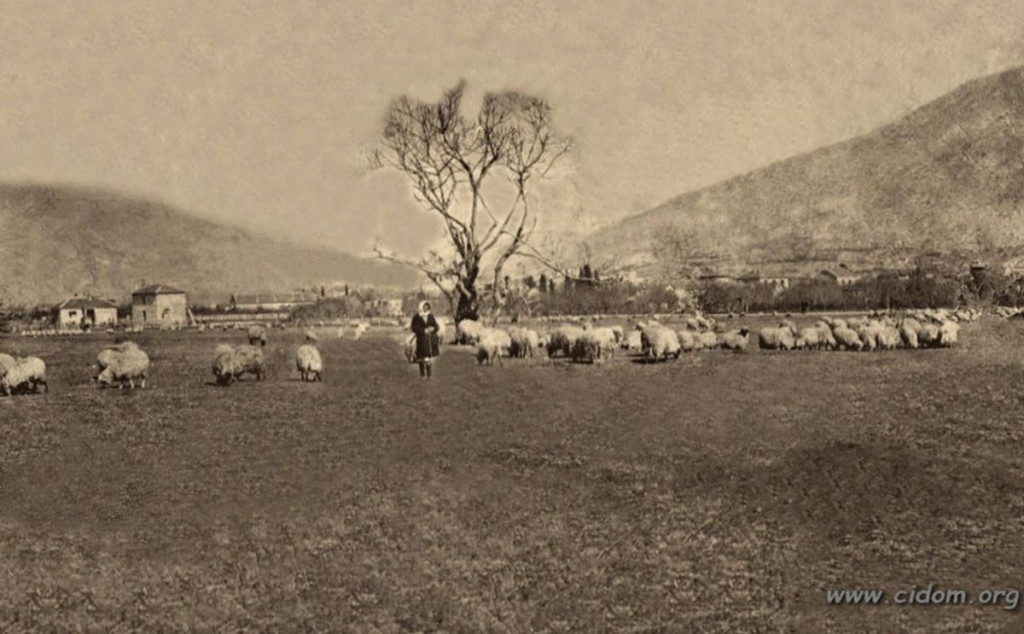 NOGOMETAŠI ZAMIJENILI OVCE Pogledajte kako je izgledao ‘stadion’ Zrinjskog 1930-tih godina