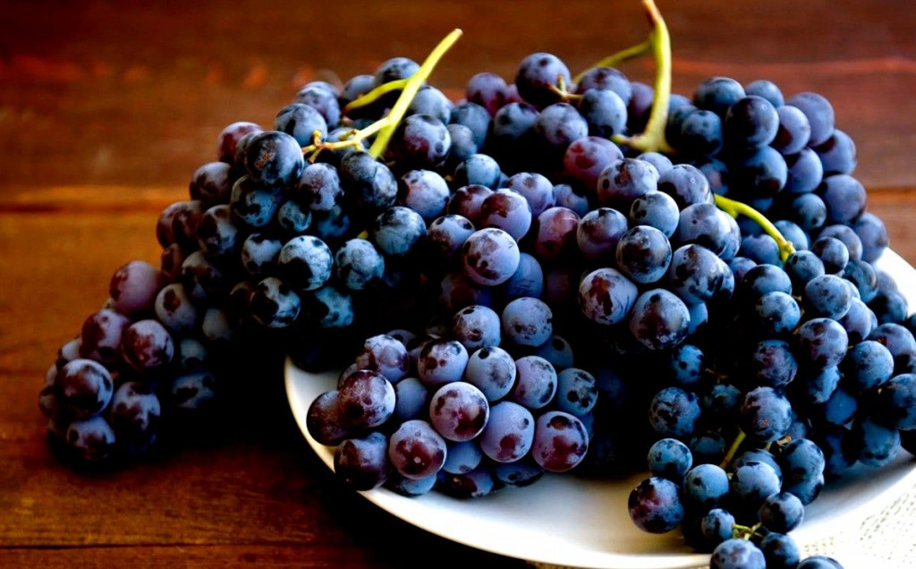 AKO SUNCE PEČE OBILNO VINO TEČE Tradicionalna vjerovanja za Vincekovo