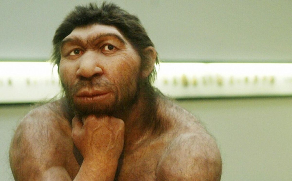 REZULTATI NOVOG ISTRAŽIVANJA Svi moderni ljudi imaju dio neandertalske DNK-a