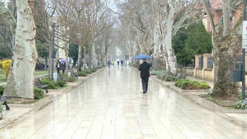 UPOZORENJE ZA MOSTAR Platani ne postoje zbog plakata