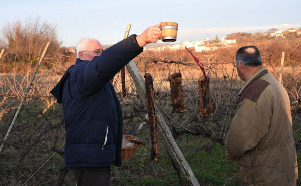 VINCEKOVO U Čitluku obilježen početak rezidbe vinove loze